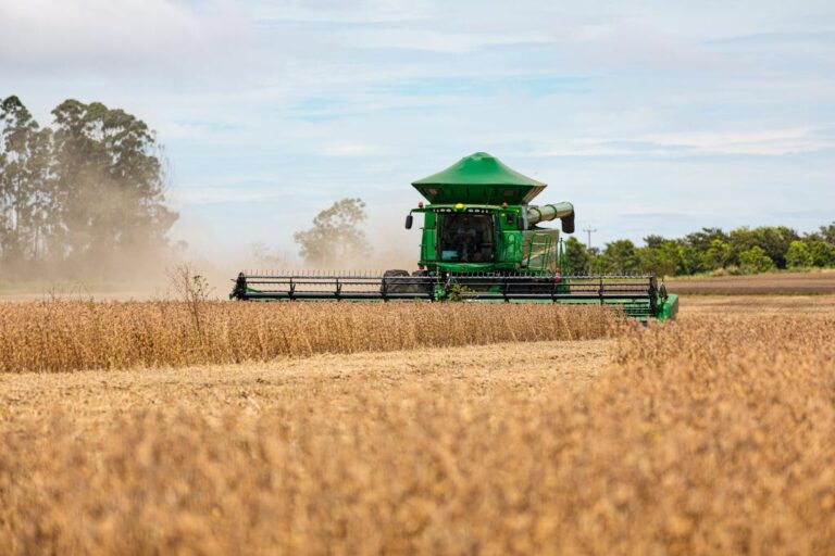 Produtividade do agro muda mapa econômico do Brasil e coloca Mato Grosso no centro da transformação